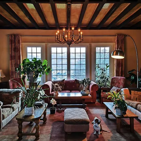 Hipyrenees - 바네르드비고르