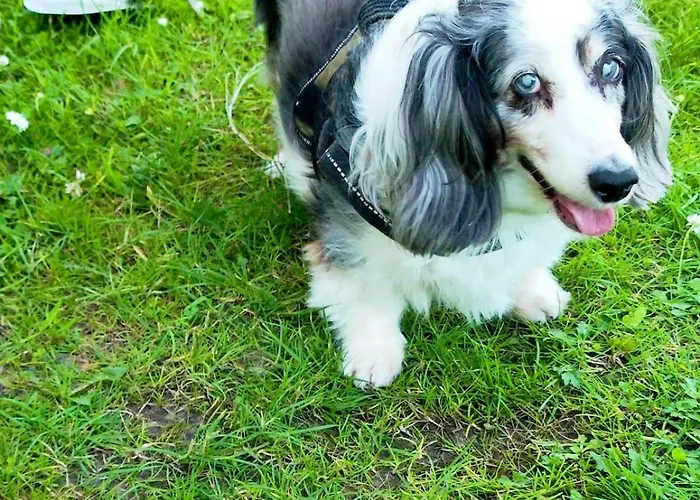 Hipyrenees - Apartment *